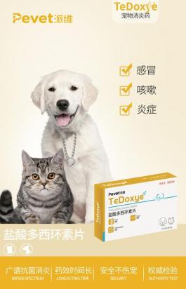 宠物狗感冒流鼻涕吃什么药
