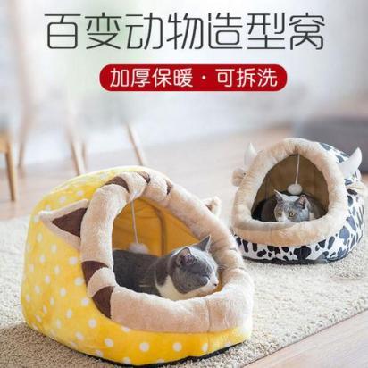 怎么训练伯曼猫睡猫窝-图1