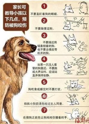 狗咬伤处理方法及急救-1