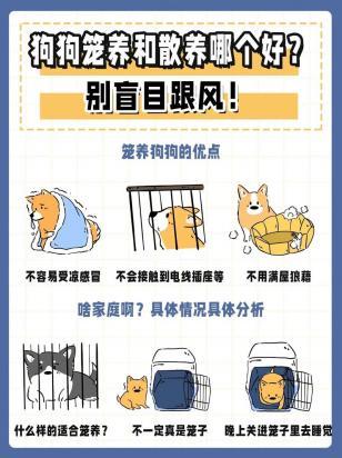 柴犬适合笼养还是散养
