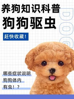 狗狗有寄生虫的10个迹象-图1
