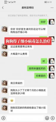 狗被传染细小潜伏期几天-图1