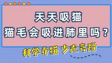 猫毛对肺部的影响-图1