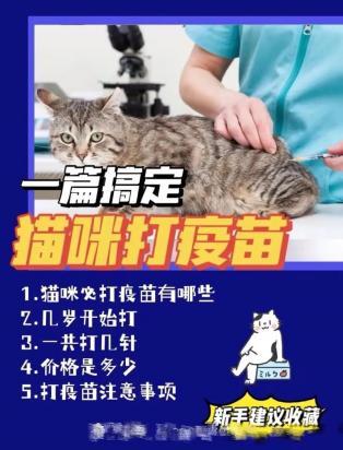 猫不打疫苗行不行-图1