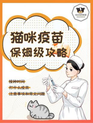 猫猫打疫苗多少钱一共-图1