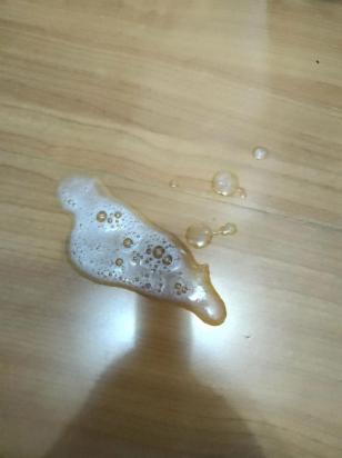 猫不吃东西吐白色泡沫-图1