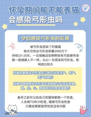 猫猫弓形虫感染的症状-图1