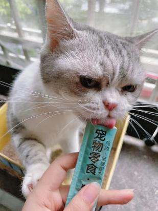 猫猫零食多少天喂一次-图1