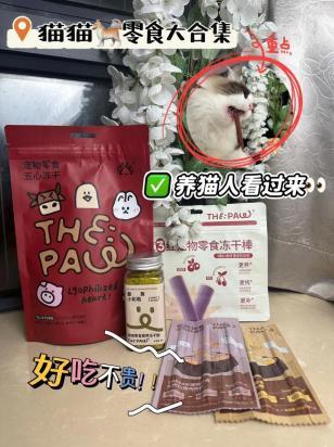 猫猫多大可以吃零食-图1