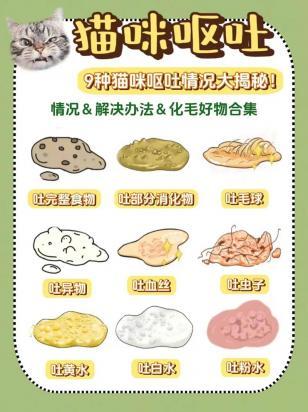 猫不吃不喝呕吐没精神-图1