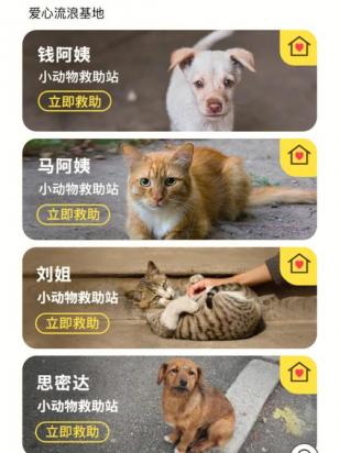 猫超是什么平台-图1