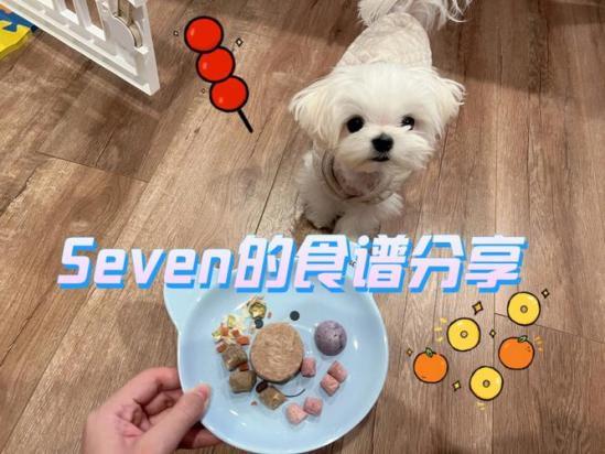 3个月马尔济斯犬的食谱-图1