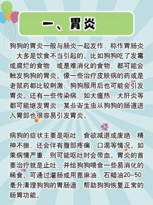 狗狗吃多了怎么帮助消化-图1