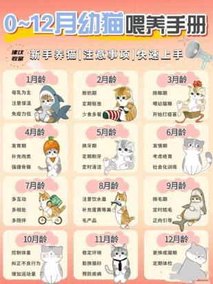 刚出生的小奶猫怎么人工喂养-图1