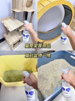 家养宠物怎么除臭-图1