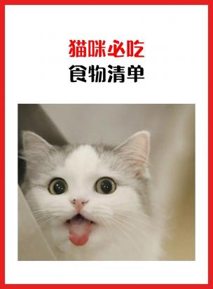 猫咪贫血吃什么-图1