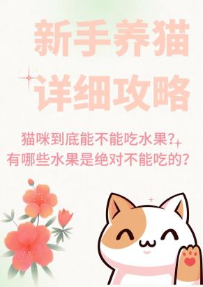 猫咪能吃什么水果-图1