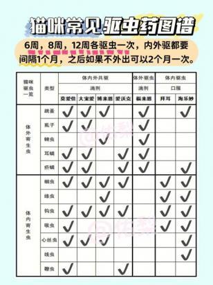 怎么判断猫咪要驱虫了-图1