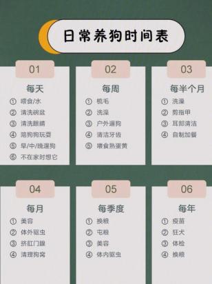 幼犬一天喂几次比较好-图1
