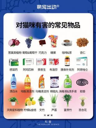 樟脑丸对猫咪是否有害-图1