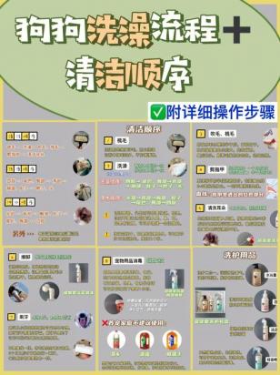 怎么给狗狗洗澡-图1
