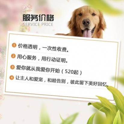 宠物殡葬一般多少钱-图1
