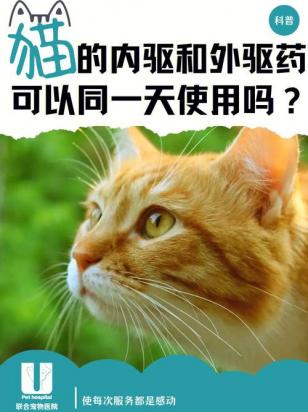 内驱和外驱间隔多久-图1