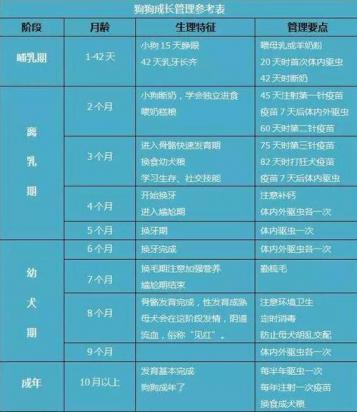 狗多大打疫苗-图1