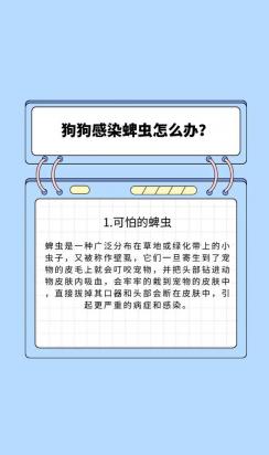 狗狗的蜱虫怎么处理比较好-图1