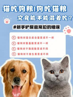 狗狗吃猫粮和狗粮有什么区别吗-图1