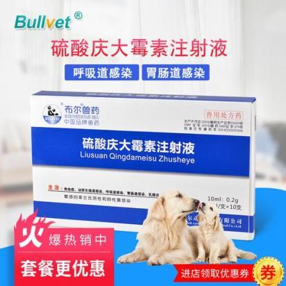 狗狗扁桃体发炎了吃什么药好