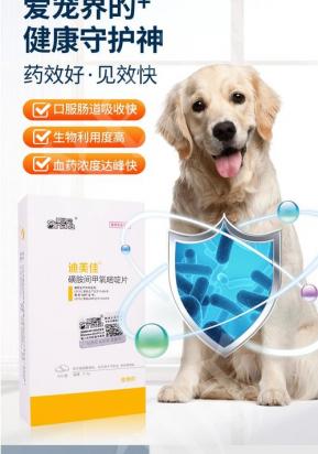 狗狗球虫用什么驱虫药比较好-图1