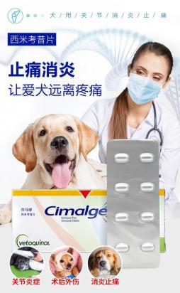狗狗神经炎吃什么药好的快-图1