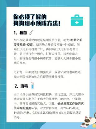 狗狗怎么预防细小和犬瘟-图1