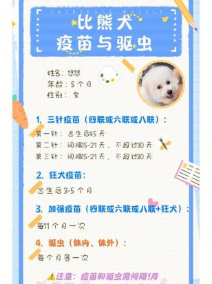 狗的狂犬疫苗多久打一针