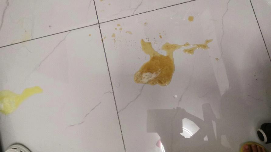 狗子吐黄泡沫没精神不吃东西怎么回事-图1