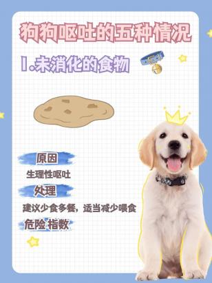 狗总是吐是怎么回事啊-图1