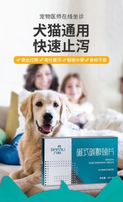 狗吃东西吐了怎么办吃什么药