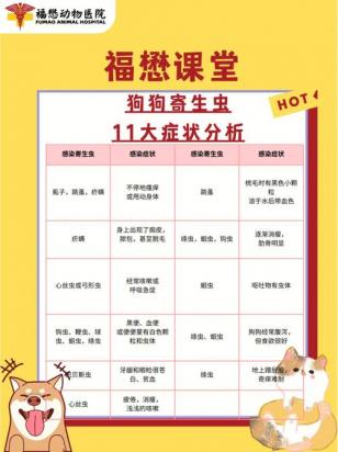 狗狗需要多久驱虫一次-图1