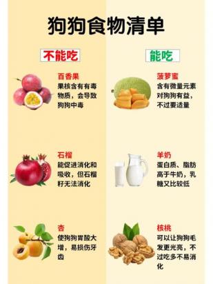狗狗怀孕期间不能吃什么-图1