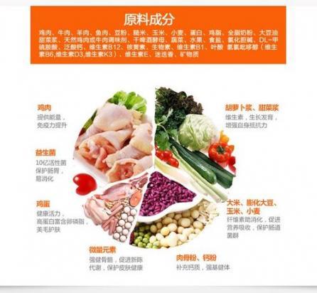 狗狗细小好了吃什么比较好-图1
