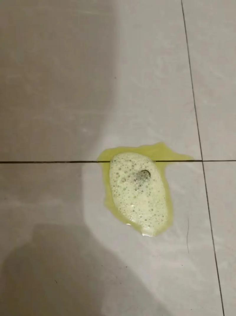 狗狗吐黄水带血是什么原因-图1
