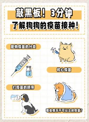 狗狗打疫苗要打几针最好-图1