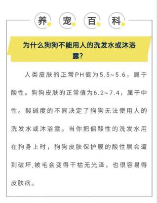 狗狗用人的洗发水洗澡没事吧-图1