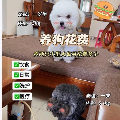 2个月的狗狗吃多少狗粮合适-图1
