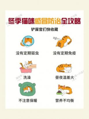 猫发烧了怎么办-图1