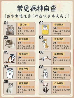 家里长期养猫有什么坏处-图1
