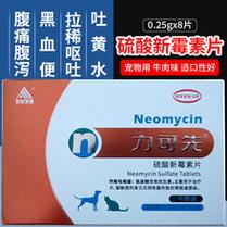 狗狗拉肚子吃了药多久可以吃东西-图1
