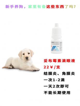 狗狗眼睛发炎吃什么药管用-图1