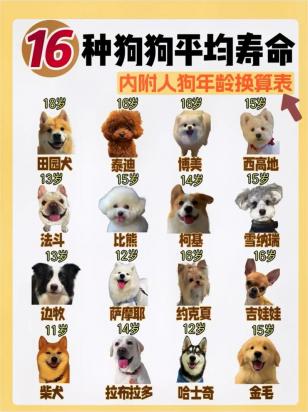 狗狗多大才能生育能力